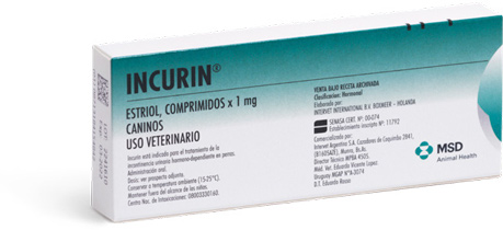 Tratamiento de incontinencia urinaria en perras.