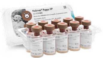 Vacuna Nobivac Puppy DP contra el Moquillo y Parvovirosis Canina.