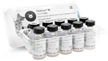 Vacuna Nobivac RL contra la rabia y leptospirosis en perros.