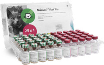 Vacuna Nobivac Tricat Trio contra calicivirus felino