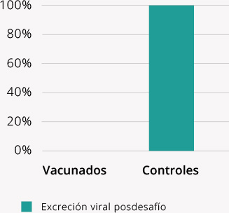 Excreción viral posdesafío